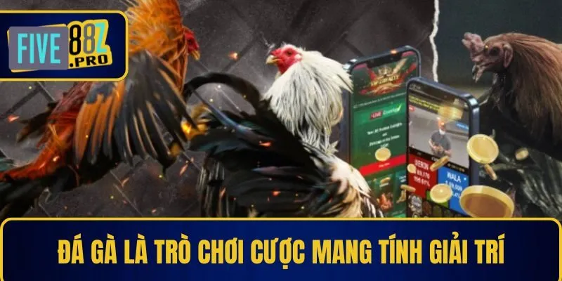 Đá gà là trò chơi cược mang tính giải trí Đá gà là trò chơi cược mang tính giải trí